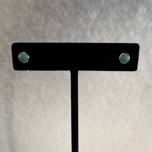 Elegant Turquoise color Stud Earrings